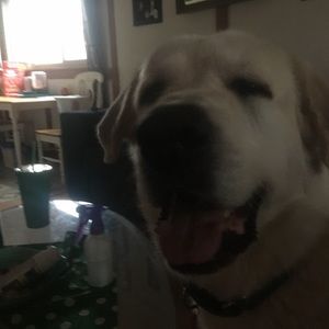 Meet your Posher, Dianna